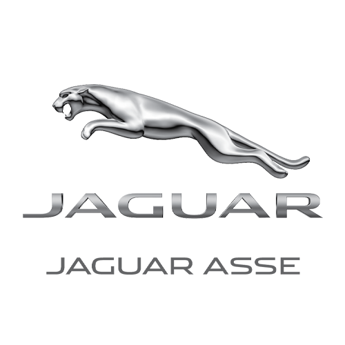 jaguar asse